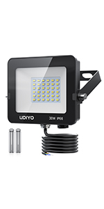 30W Flood Light