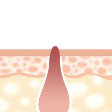 HIGH PURITY NICOTINAMIDE