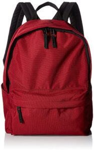 Amazon Basics 30L Backpack Daypack with Padded Shoulder Straps and Laptop Sleeve (fits 15-inch laptop)