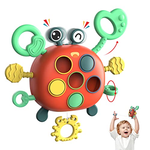 Baby Toddler Montessori Sensory Toys for 1 Year Old Boys