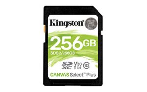 Kingston SDS2/256GB Canvas Select Plus SD Card Class 10 UHS-I