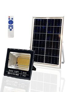 Solar LED Floodlight