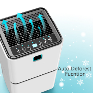 dehumidifiers for home