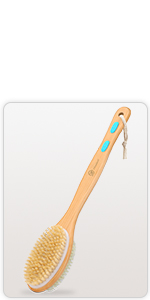 Long Handle Back Brush