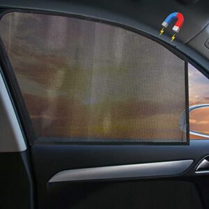 DIZA100 Car Window Shade 2 Pack