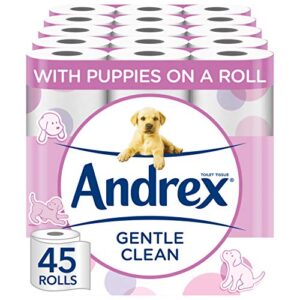 Andrex Gentle Clean Toilet Rolls - 45 Toilet Roll Pack - Bulk Buy Toilet Rolls - Gentle and Soft on Your Family's Skin - Dermatologically Tested