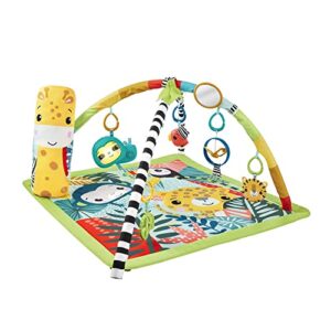 Fisher-Price 3-in-1 Baby Gym