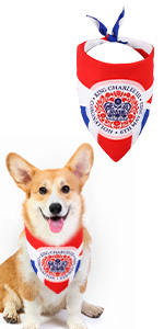 Dog Bandana for Coronation Decorations