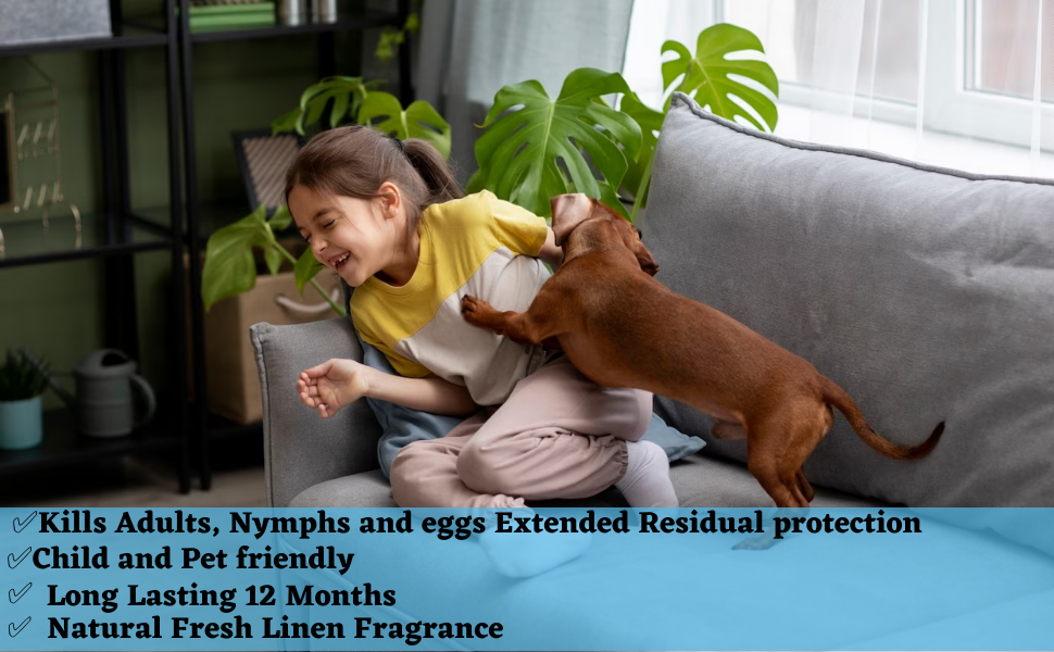 indoors mite spray home christmas tree bug spray dustmite control spray kill bed bugs spray