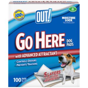 OUT! Go Here Absorbent Pet and Puppy Training Pads |100 Pads