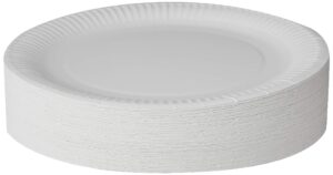 Paper Plates 23cm - Pack of 100 9inch Paper Plates