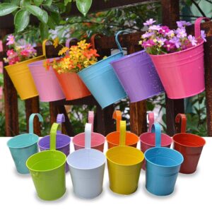 Trongle 10 PACKS Metal Iron Flower Pot With Detachable Handle