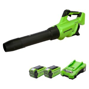 Greenworks GD40AB Cordless Leaf Blower with Cruise Control