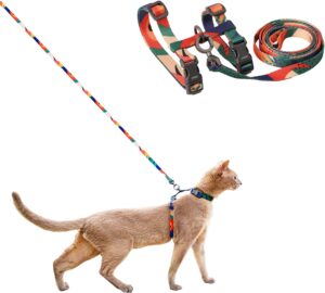 pidan Cat Harness and Leash Set