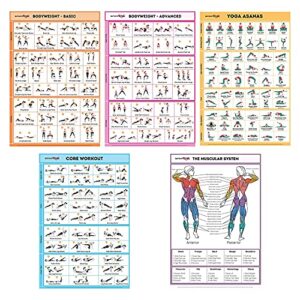 SPORTAXIS No-Equipment Laminated Home Workout Posters With Colored Illustrations- Men And Women Workout-Bodyweight Basic (Pack Of 5) 18 X 27