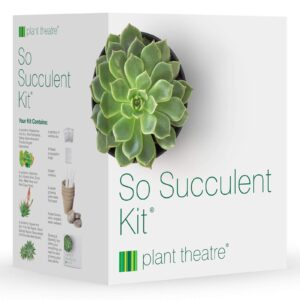 Plant Theatre So Succulent Kit - Gift Seed Kit with Super Succulent Plant Varieties to Grow