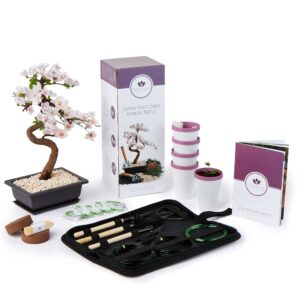 Bonsai Tree Kit with Bonsai Tool Kit - Grow Your own Kits Bonsai Tree Indoor Plant with a Variety of 5 Bonsai Trees Seeds Included and All of The Bonsai Kit Tools You Need (Large Bonsai Kit)