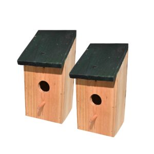 Ram© 2 X Wooden Wood Bird Nesting Box Nest Bird House Small Birds Blue Tit Robin Sparrow Bird House Feede
