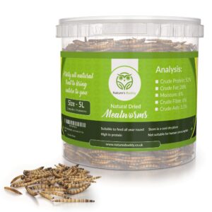 Buddy Wild Natural Dried Mealworms - 5L Tub for Wild Birds - High Protein