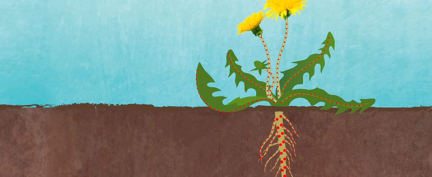 Kills weeds to the roots, so they don’t come back