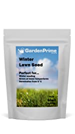 Winter Lawn Seed