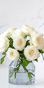 white-roses