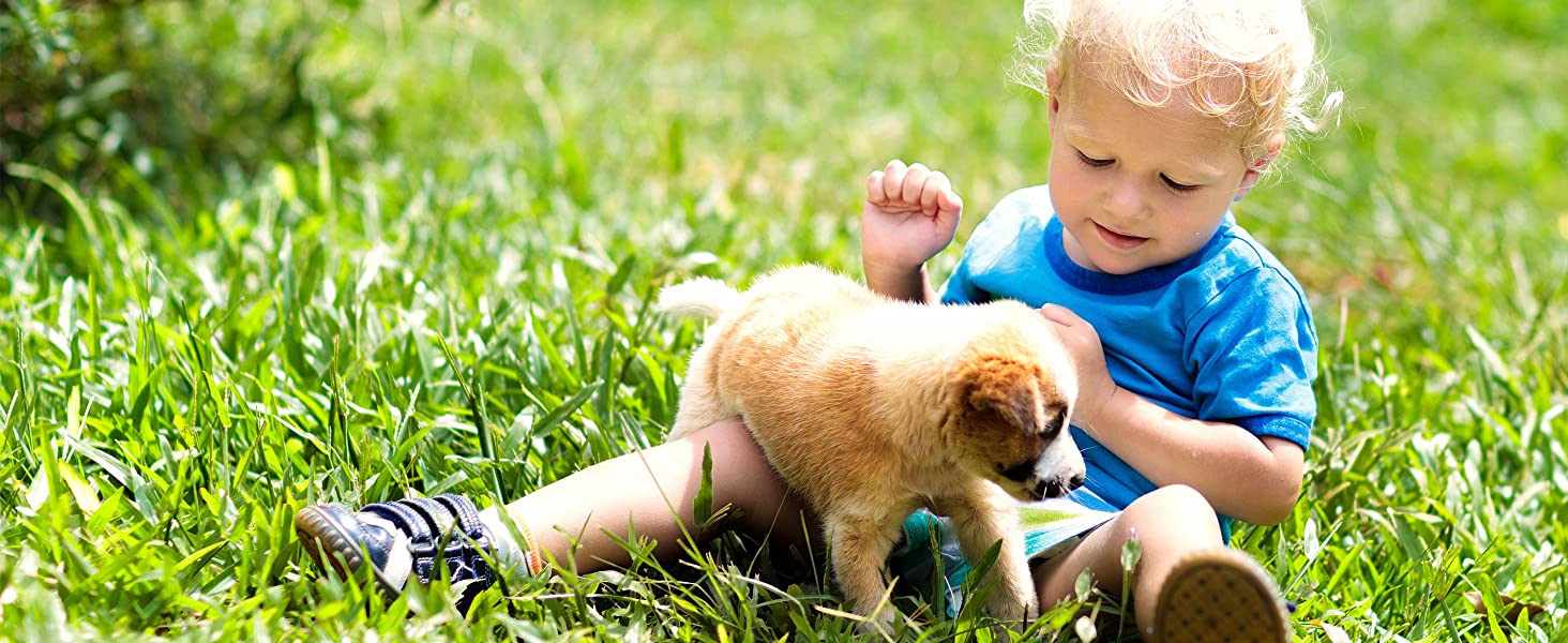 Child and Pet Friendly