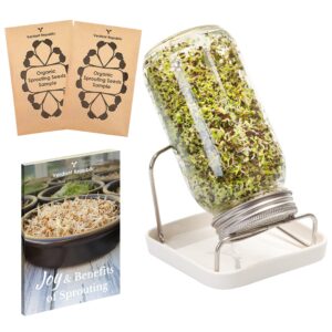 Sprouting Jar Kit | Single 750ml Glass Sprouter