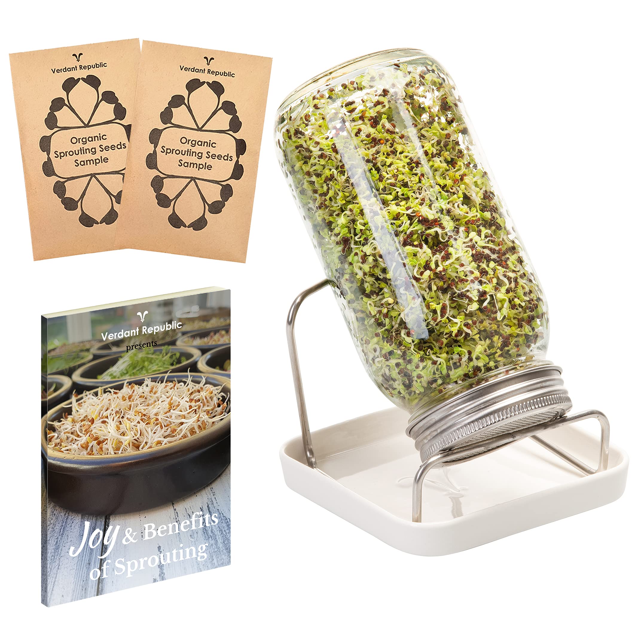Sprouting Jar Kit | Single 750ml Glass Sprouter