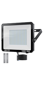 100W Flood Light