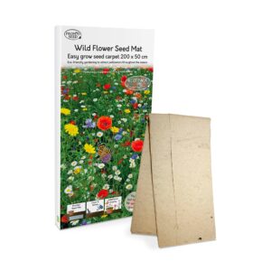 Pronto Seed Wild Flower Seed Mix Attracts Bee's and Butterflies-Easy to Grow Wild Flower Seed Planting Mat (Size 200cm x 50cm). Eco Friendly-Help Save The Pollinators (Wildflower Seed Mix)