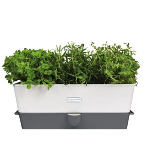Cole & Mason H105349 Burwell Self-Watering Potted Herb Saver
