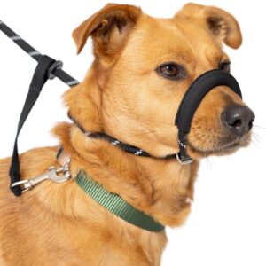 Total Pet Figure of 8 Dog Lead - Anti Pull Stop Dogs Pulling - Rope Slip Leads with Padded Nose Support (Medium/Large)
