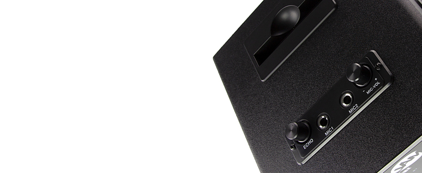 karoke machine with microphones