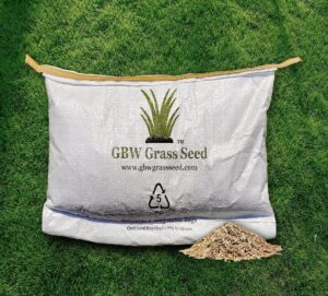 GBW Grass Seed 1kg - Covers up to 55 m2 (590 ft2) New Lawns - Premium Quality Seed - Fast Growing & Rapid Germination - Hard Wearing Lawn Seed - Tailored to UK Climate - Trademark Reg - 100% Refund