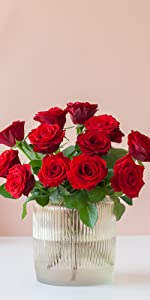 red-roses