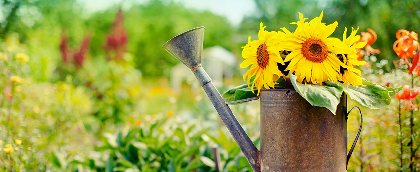 Miracle-Gro: the superfood for your plants