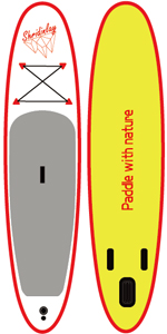paddle board