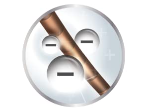 ionic