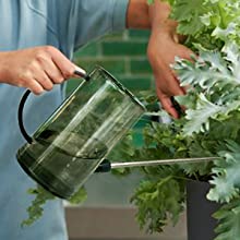 plant watering can