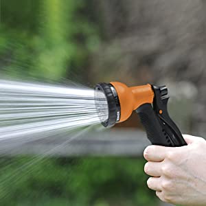 spray bush