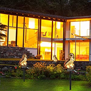 outdoor solar lights