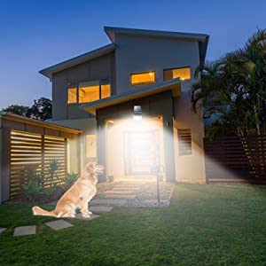 Adjustable spotlight