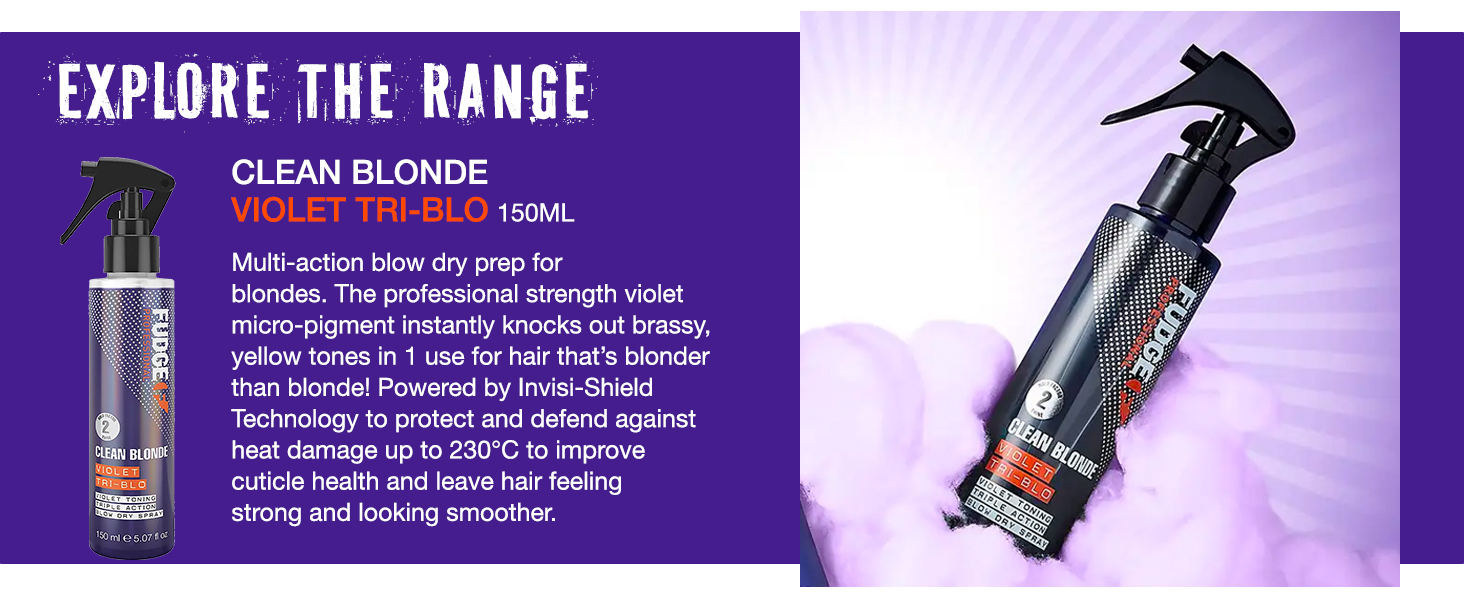purple shampoo, shampoo, blonde shampoo, blonde products, blonde hair products