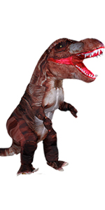 inflatable costume