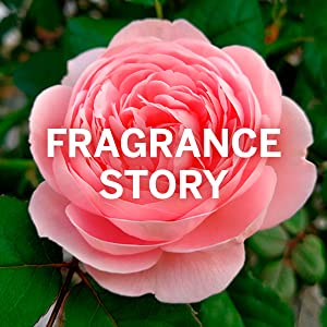 Eau De Toilette, Yardley London, Fine Fragrance