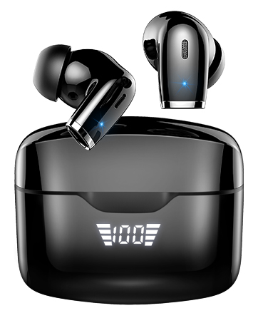 Stereo Earphones