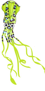 squid kite
