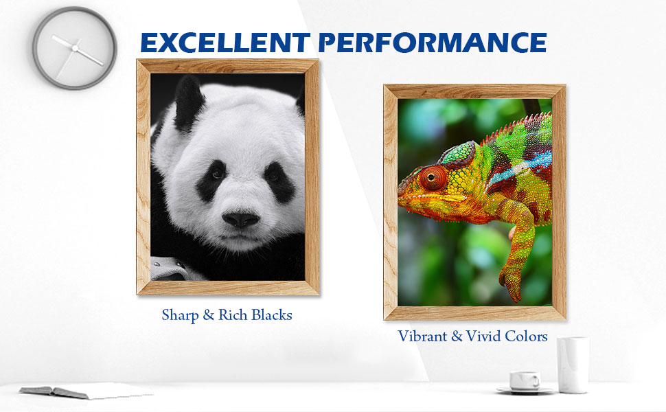 epson 202xl ink cartridges