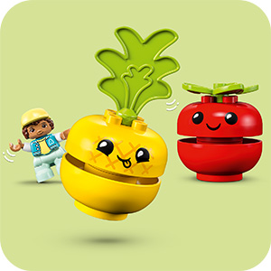 10982_DUPLO
